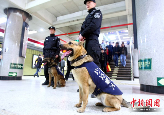 北京警方出动警犬队加大对地铁安全巡查力度确保地铁安全。