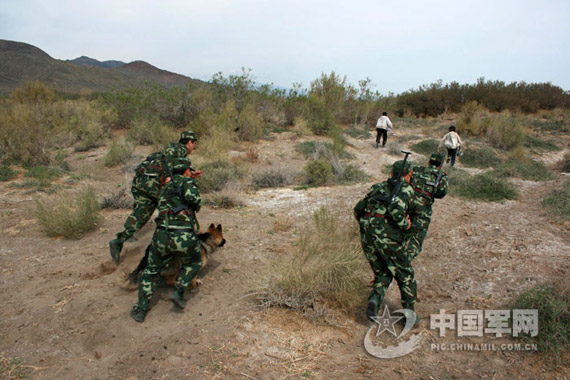 组图：新疆边防武警抓捕盗挖名贵药材不法分子