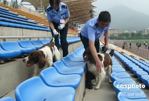 近300条警犬将加入北京奥运安保行列(组图)