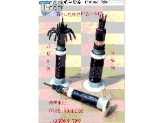 MKVV.MKVV22.MKVV32系列矿用控制电缆,矿用阻燃控制电缆图1