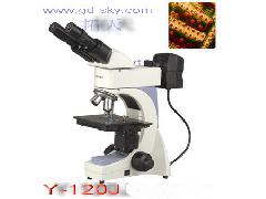 Y-120J金相显微镜
