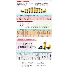 定向便携式X射线探伤机（玻璃壳体X射线管）