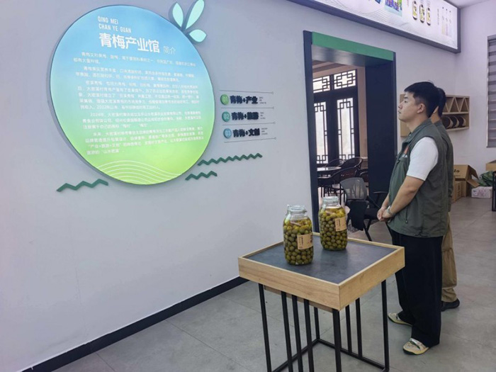 “梅”好生活 “迷彩”护航——龙溪镇武装部接力帮扶，让小青梅蝶变“致富果”