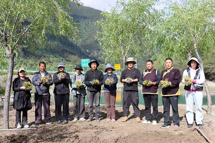 生物国防视域下高原麦冬的战略战备价值与边疆防务应用研究
